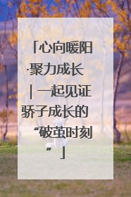 心向暖阳·聚力成长｜一起见证骄子成长的“破茧时刻”