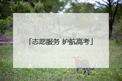 志愿服务 护航高考