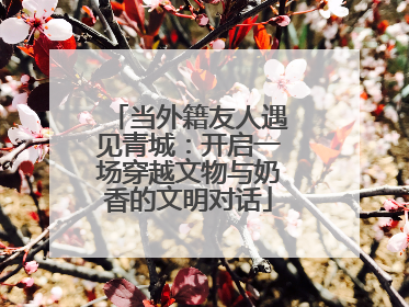 当外籍友人遇见青城：开启一场穿越文物与奶香的文明对话