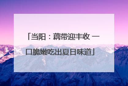 当阳：藕带迎丰收 一口脆嫩吃出夏日味道