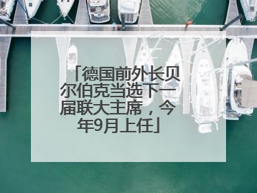 德国前外长贝尔伯克当选下一届联大主席，今年9月上任