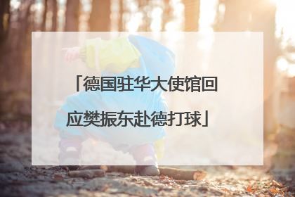 德国驻华大使馆回应樊振东赴德打球