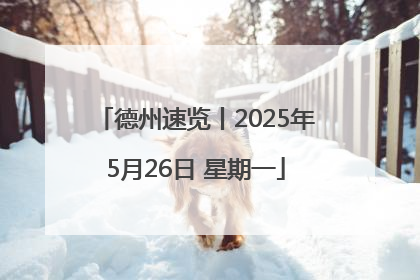 德州速览丨2025年5月26日 星期一