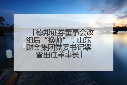 德邦证券董事会改组后“换帅”，山东财金集团党委书记梁雷出任董事长