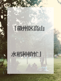 徽州区高山水稻种植忙