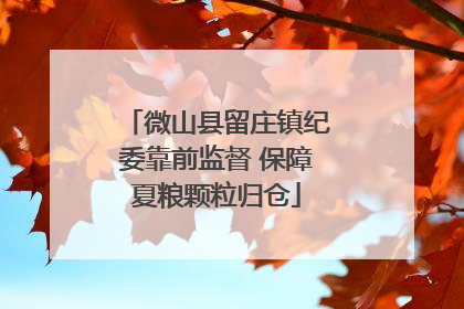 微山县留庄镇纪委靠前监督 保障夏粮颗粒归仓