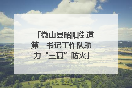 微山县昭阳街道第一书记工作队助力“三夏”防火