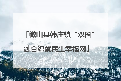 微山县韩庄镇“双圈”融合织就民生幸福网