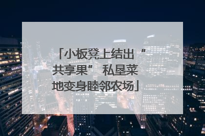 小板凳上结出“共享果” 私垦菜地变身睦邻农场