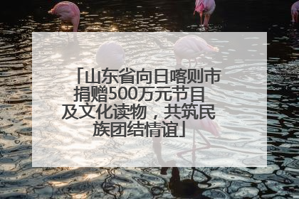 山东省向日喀则市捐赠500万元节目及文化读物，共筑民族团结情谊