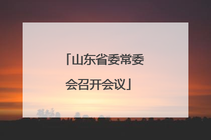 山东省委常委会召开会议