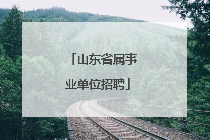 山东省属事业单位招聘