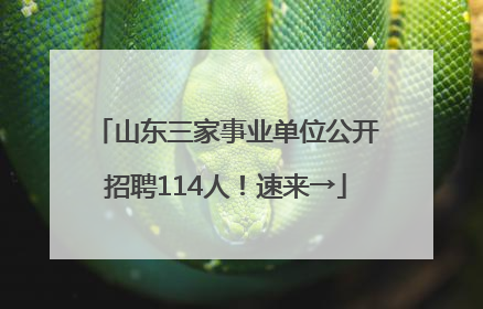 山东三家事业单位公开招聘114人！速来→