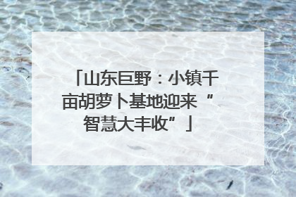 山东巨野：小镇千亩胡萝卜基地迎来“智慧大丰收”