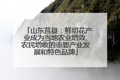 山东莒县：鲜切花产业成为当地农业增效、农民增收的重要产业发展和特色品牌