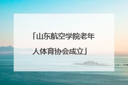 山东航空学院老年人体育协会成立