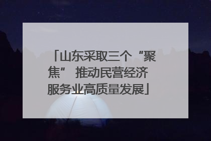 山东采取三个“聚焦” 推动民营经济服务业高质量发展
