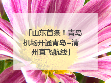 山东首条！青岛机场开通青岛=清州直飞航线