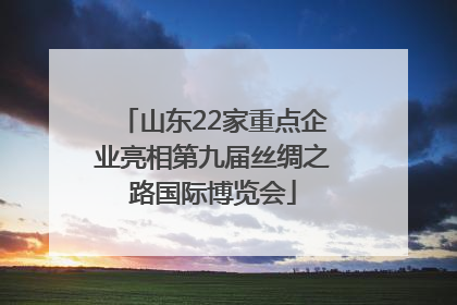 山东22家重点企业亮相第九届丝绸之路国际博览会