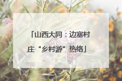 山西大同：边塞村庄“乡村游”热络