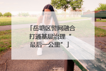 岳塘区警网融合 打通基层治理“最后一公里”
