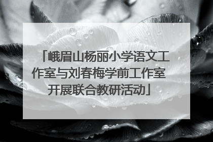 峨眉山杨丽小学语文工作室与刘春梅学前工作室开展联合教研活动