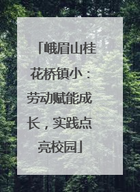 峨眉山桂花桥镇小：劳动赋能成长，实践点亮校园