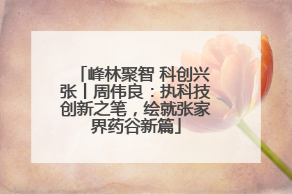 峰林聚智 科创兴张丨周伟良：执科技创新之笔，绘就张家界药谷新篇