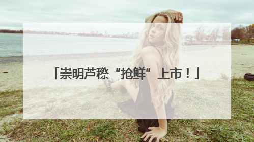 崇明芦穄“抢鲜”上市！