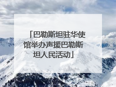 巴勒斯坦驻华使馆举办声援巴勒斯坦人民活动