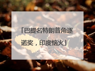 巴提名特朗普角逐诺奖，印度恼火