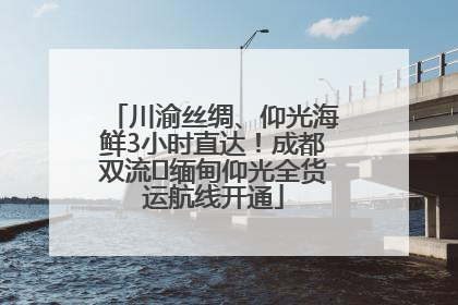 川渝丝绸、仰光海鲜3小时直达！成都双流⇌缅甸仰光全货运航线开通