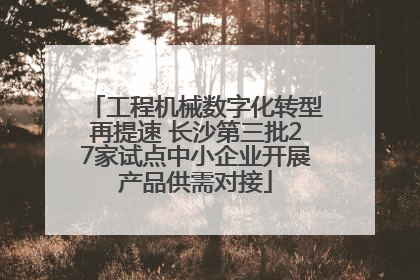 工程机械数字化转型再提速 长沙第三批27家试点中小企业开展产品供需对接