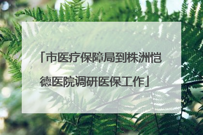市医疗保障局到株洲恺德医院调研医保工作
