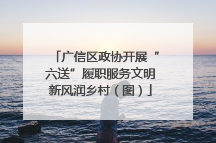 广信区政协开展“六送”履职服务文明新风润乡村（图）