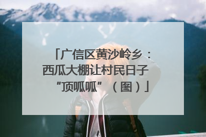 广信区黄沙岭乡：西瓜大棚让村民日子“顶呱呱”（图）