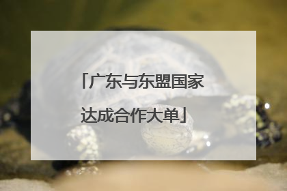 广东与东盟国家达成合作大单