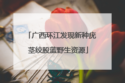 广西环江发现新种疣茎绞股蓝野生资源