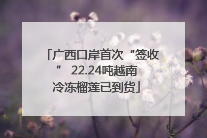 广西口岸首次“签收” 22.24吨越南冷冻榴莲已到货