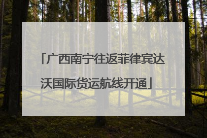 广西南宁往返菲律宾达沃国际货运航线开通