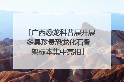 广西恐龙科普展开展 多具珍贵恐龙化石骨架标本集中亮相