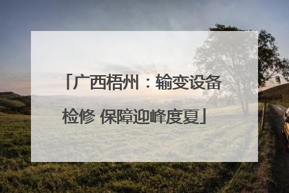 广西梧州：输变设备检修 保障迎峰度夏