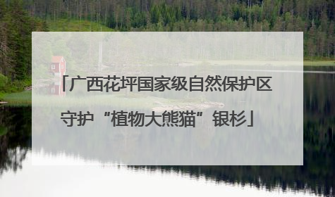 广西花坪国家级自然保护区守护“植物大熊猫”银杉