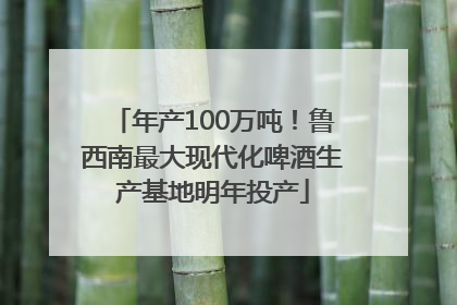 年产100万吨！鲁西南最大现代化啤酒生产基地明年投产