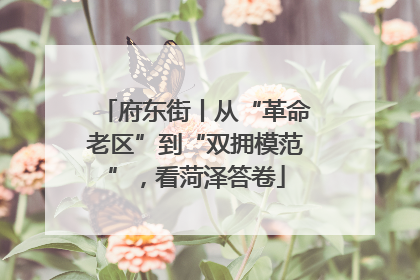 府东街丨从“革命老区”到“双拥模范”，看菏泽答卷