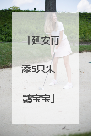 延安再添5只朱鹮宝宝