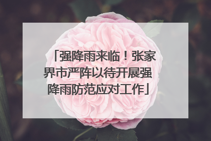 强降雨来临！张家界市严阵以待开展强降雨防范应对工作