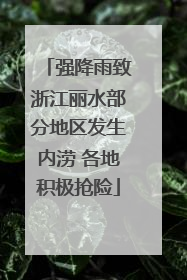 强降雨致浙江丽水部分地区发生内涝 各地积极抢险