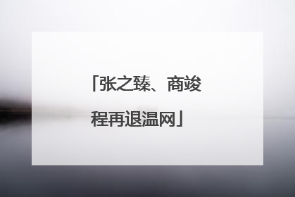张之臻、商竣程再退温网