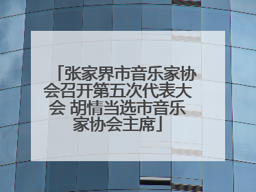 张家界市音乐家协会召开第五次代表大会 胡情当选市音乐家协会主席